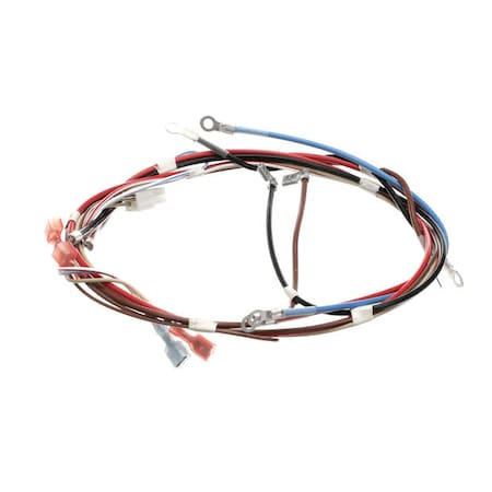 Bunn Wiring Harness, Main H5X Element (Food) 12576.0017